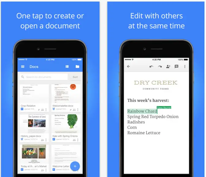 Google Docs iPad