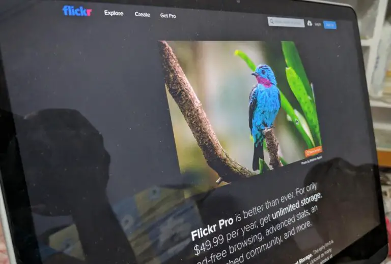How to Download and Backup Your Flickr Photos and Data