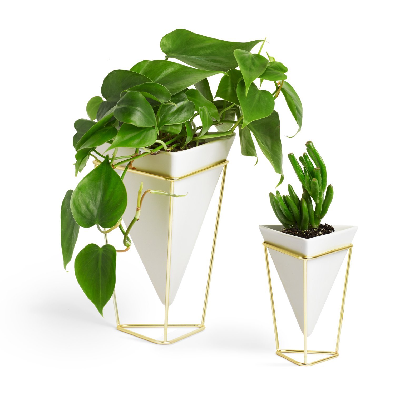 Umbra Indoor Plant Vase