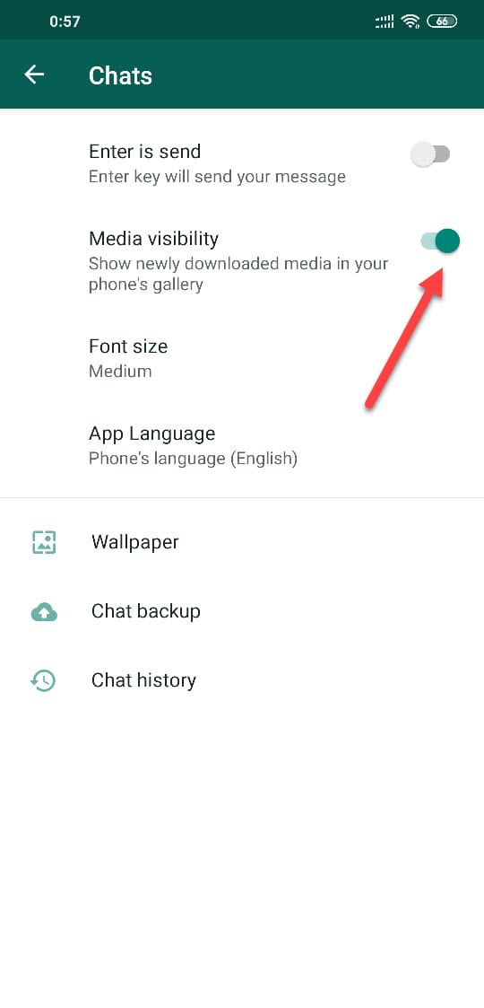 Media Visibility in WhatsApp