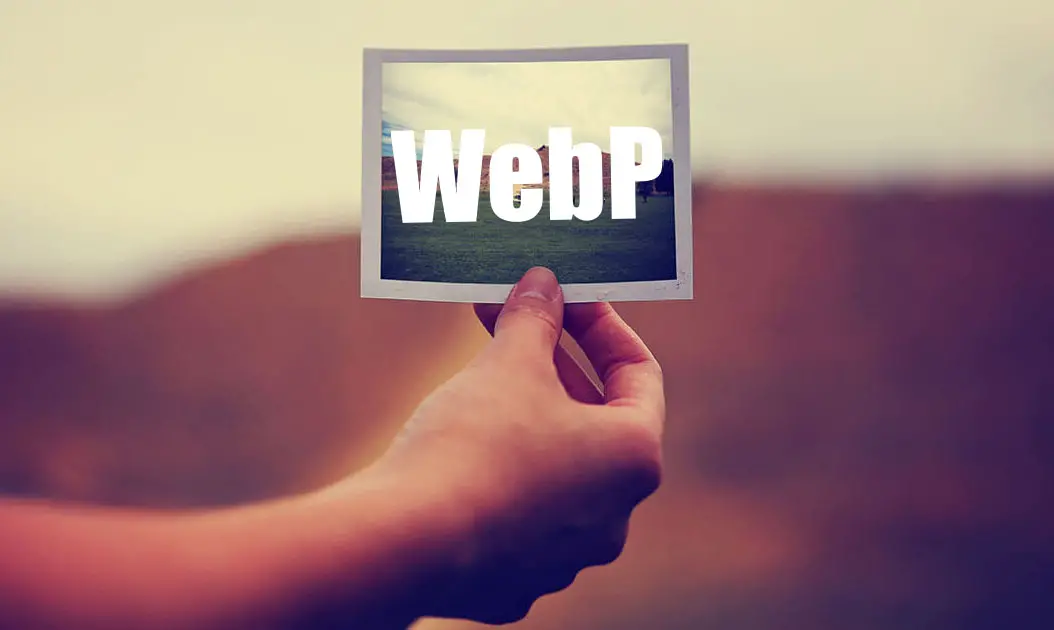 WebP Format copy
