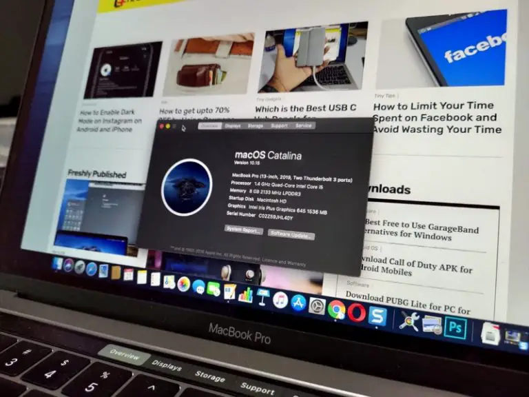 Issues in MacOS Catalina and How to Fix them