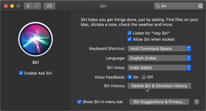 Delete Siri and Dictation History