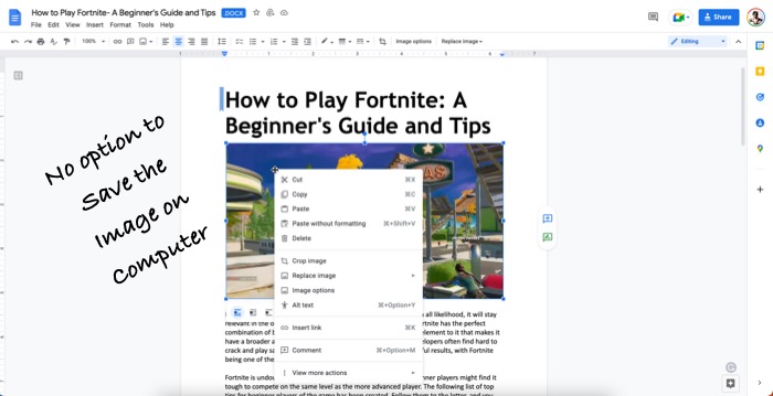 Google Docs Images