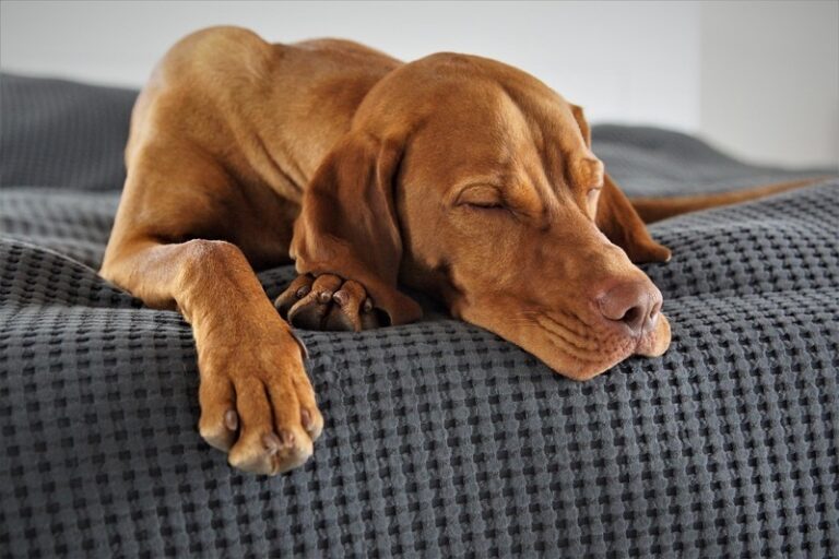 How to Fix Your Sleep Schedule | 5 Proven Ways and My Personal Experience