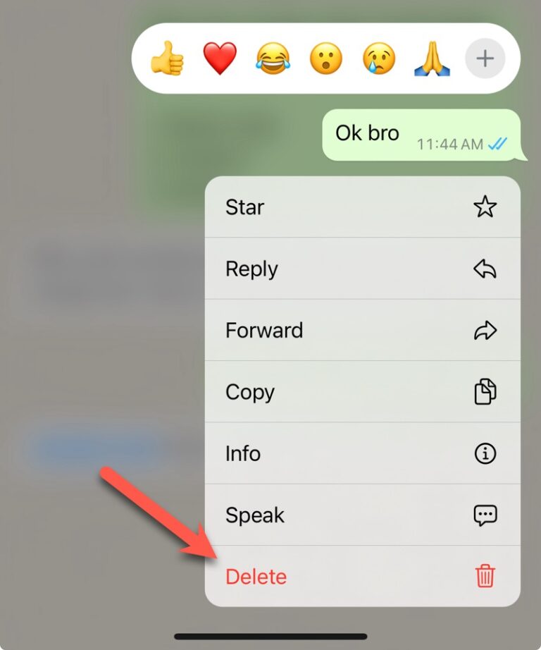 if you delete a whatsapp message with 1 tick
