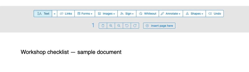 Sejda PDF editor Text tool showing Workshop checklist on a blank demonstration page